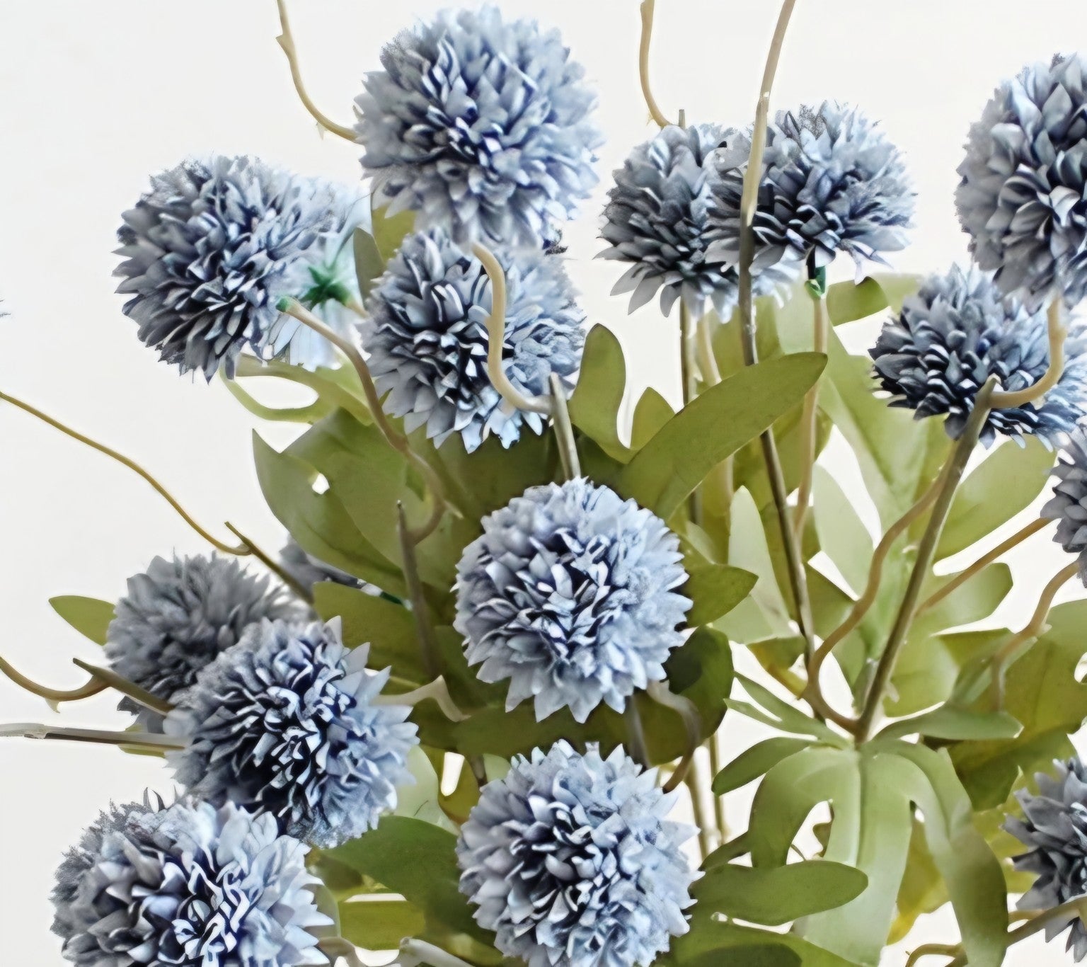 Blue Thistle - organic cotton in DK & worsted weights