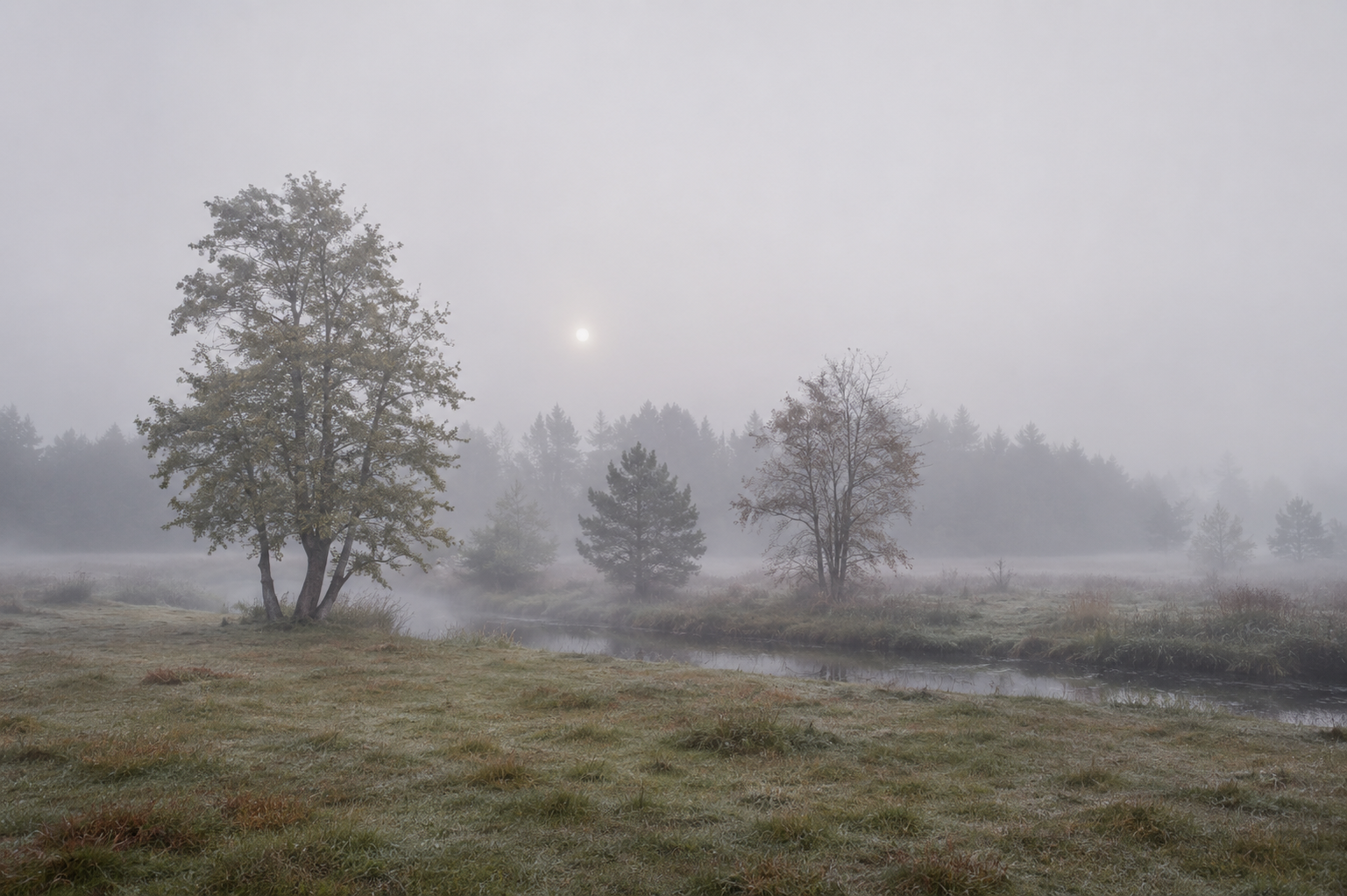 Misty Morn - organic cotton in DK & worsted weights