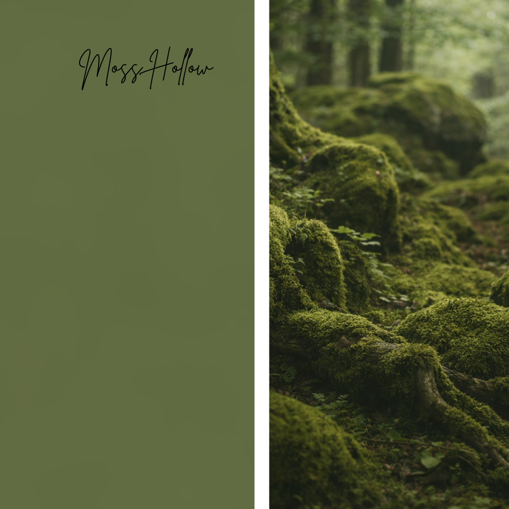 Moss Hollow - organic cotton in DK and worsted weights